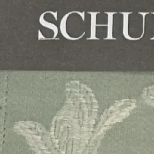 Close-up of a Schumacher upholstery fabric sample with an embroidered leaf pattern